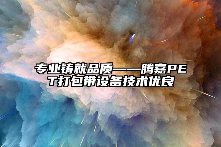 專業(yè)鑄就品質(zhì)——騰嘉PET打包帶設(shè)備技術(shù)優(yōu)良