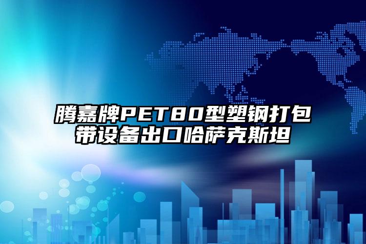 騰嘉牌PET80型塑鋼打包帶設(shè)備出口哈薩克斯坦