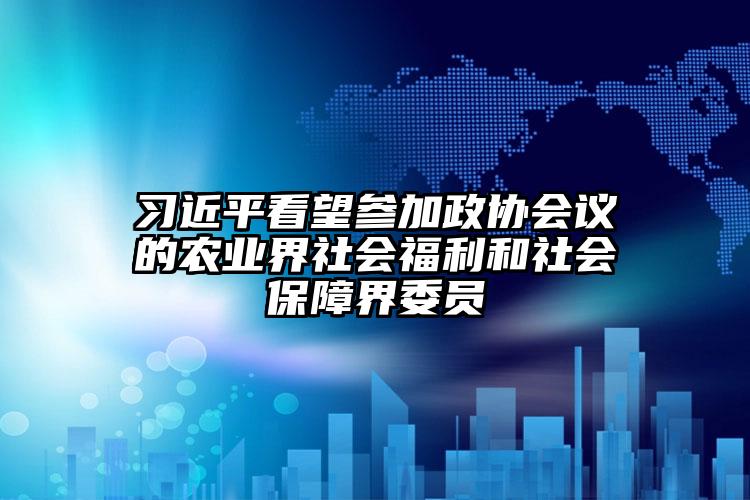習(xí)近平看望參加政協(xié)會議的農(nóng)業(yè)界社會福利和社會保障界委員