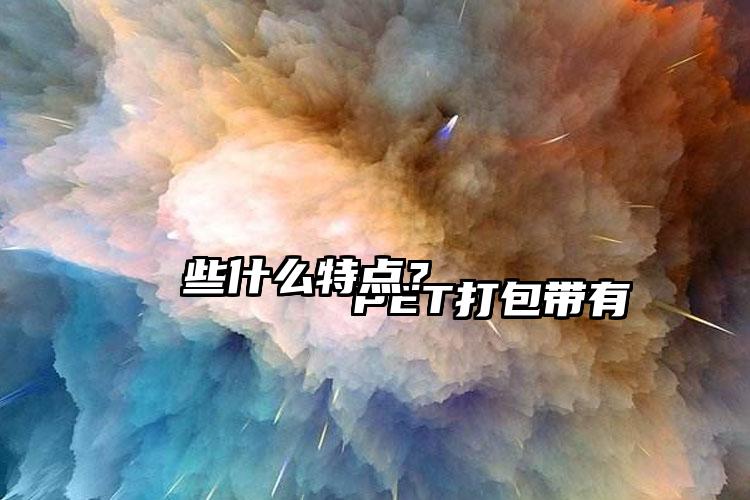 
        PET打包帶有些什么特點(diǎn)？    